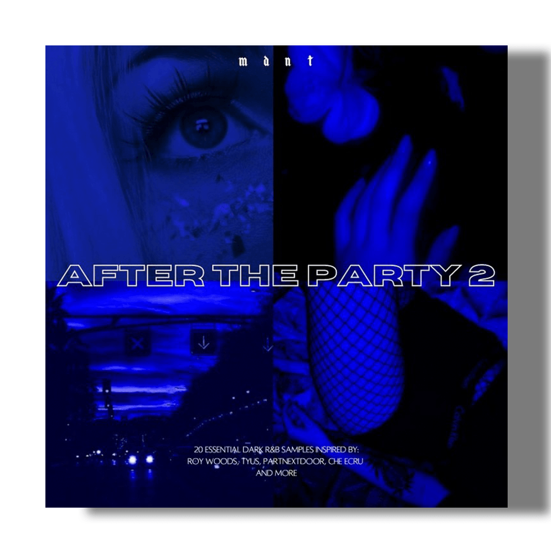 AFTER THE PARTY VOL.2 - SamplesWave