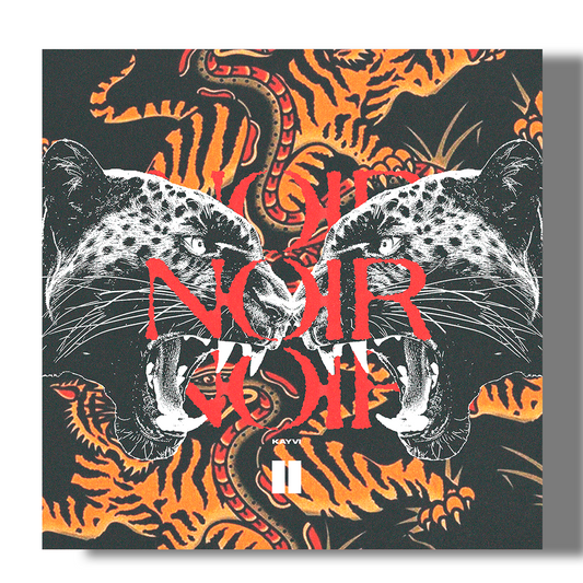 NOIR VOL.2