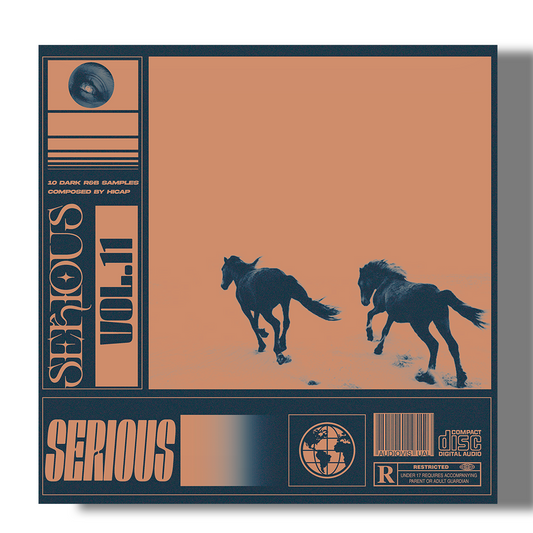 SERIOUS VOL. 11