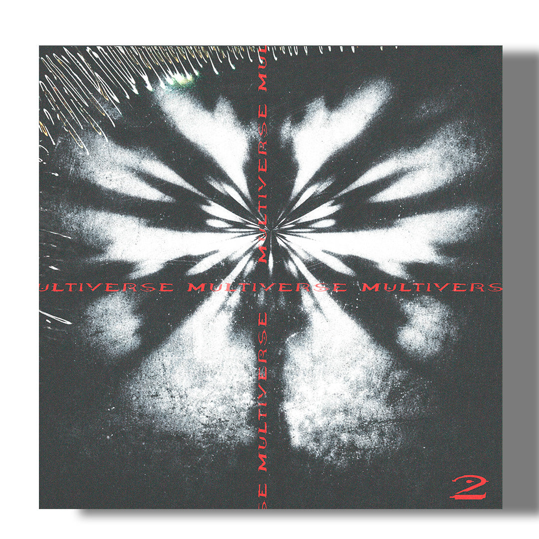 MULTIVERSE VOL.2